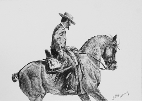 doma vaquera